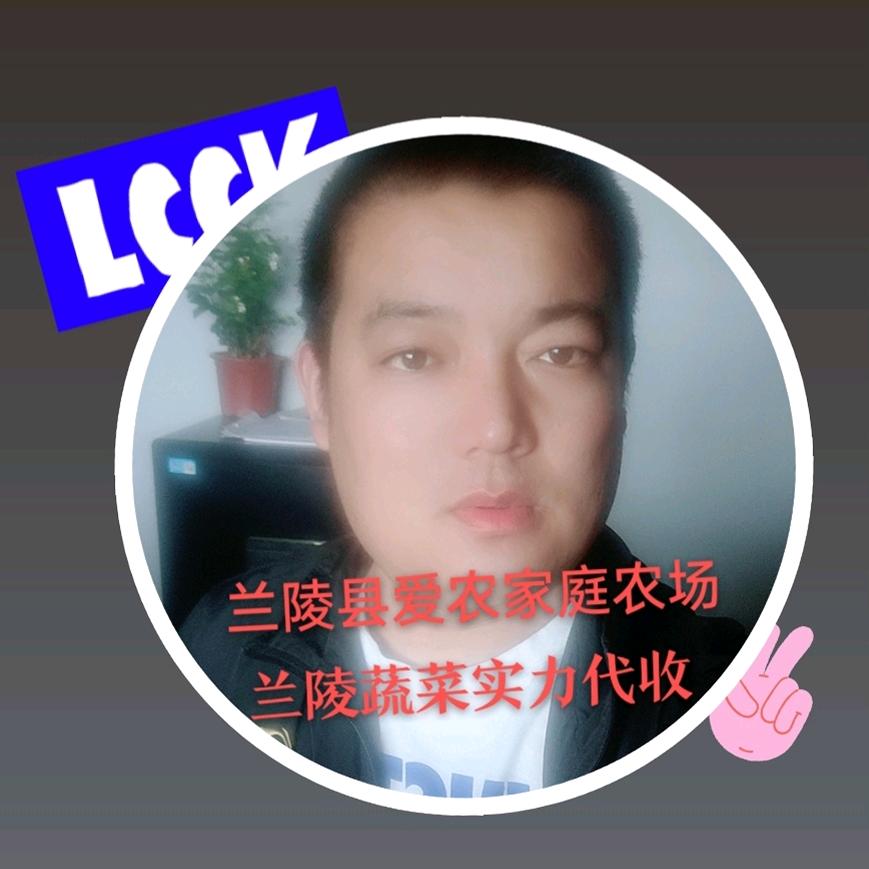 专业黄瓜代收（王文明）