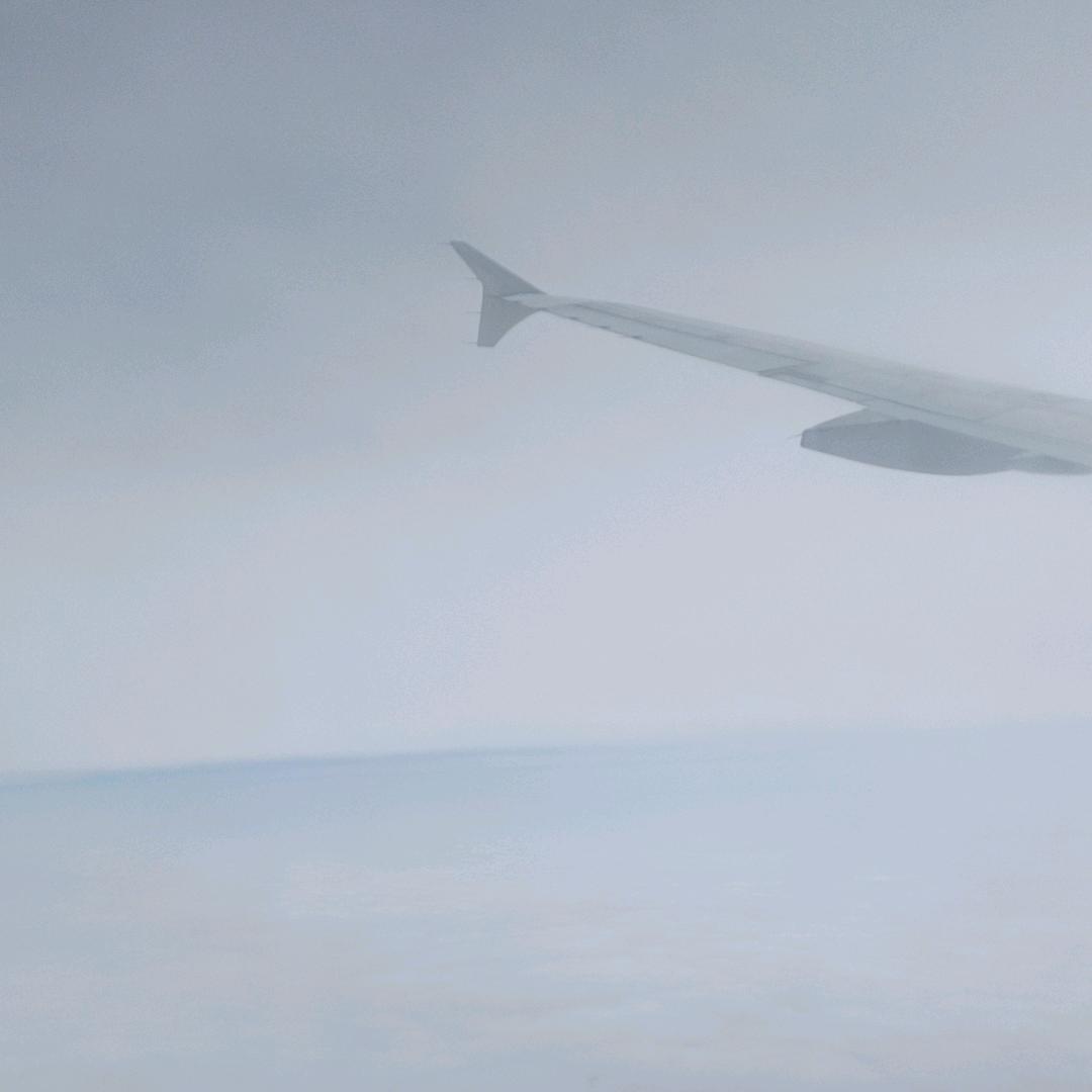 何以解忧，唯有杜康