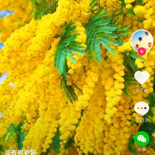 千言万语