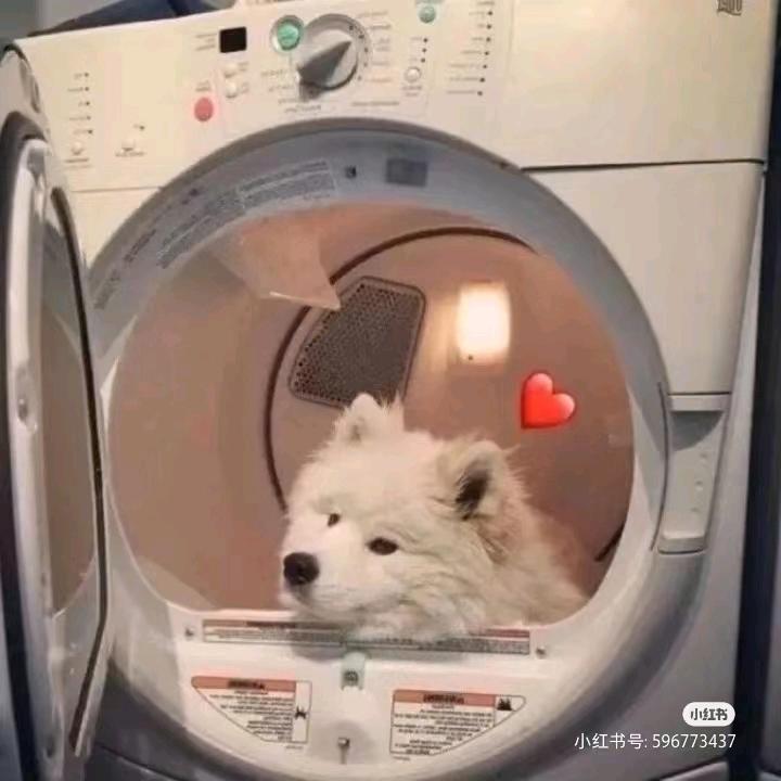 沐南