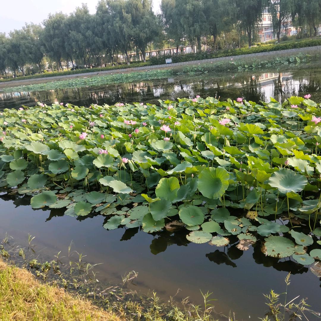 长虹不锈钢
