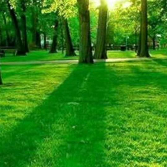 春夏秋冬都是缘