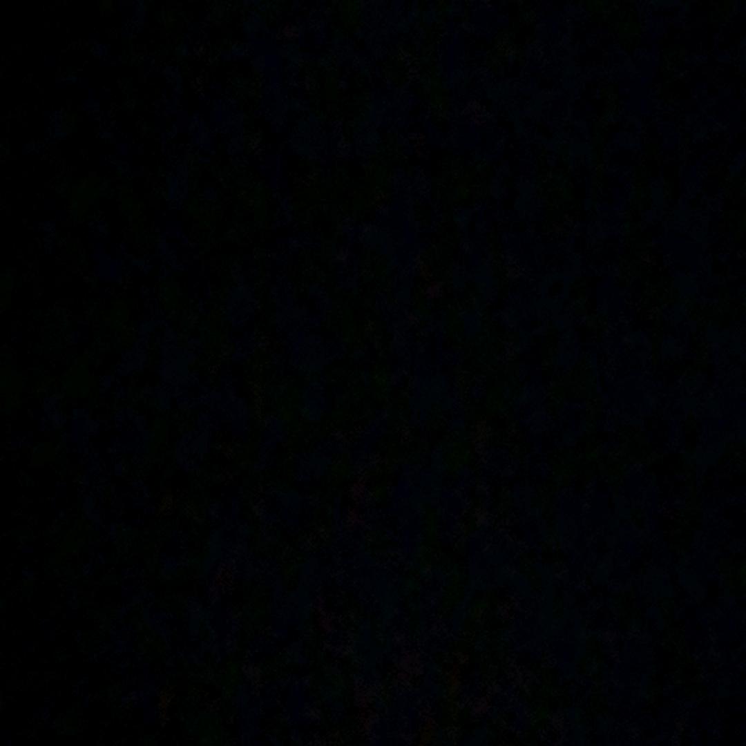 文逸动漫
