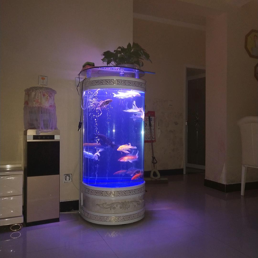 在水一方♬