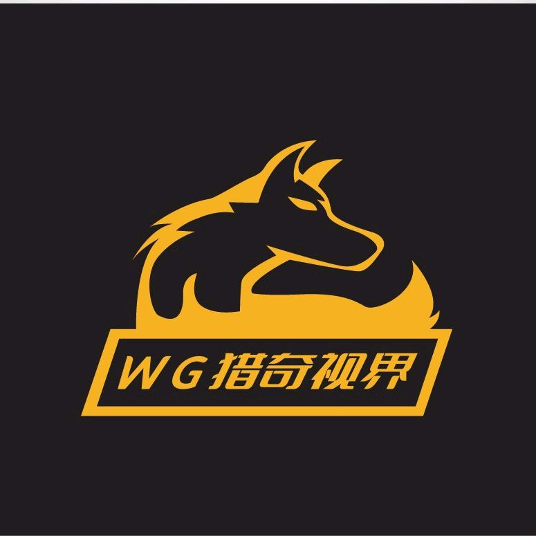 WG猎奇视界