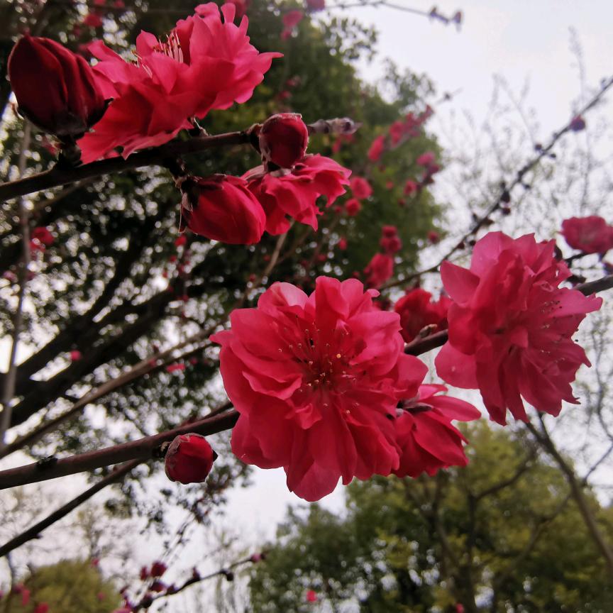春夏秋冬
