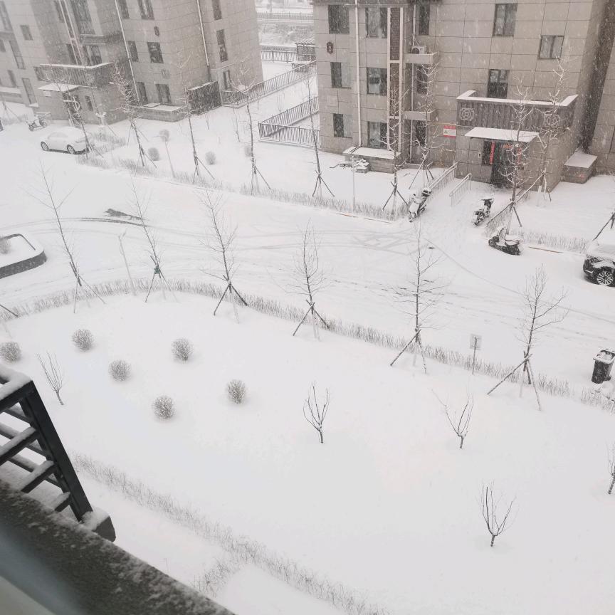我爱你若能倒着说@