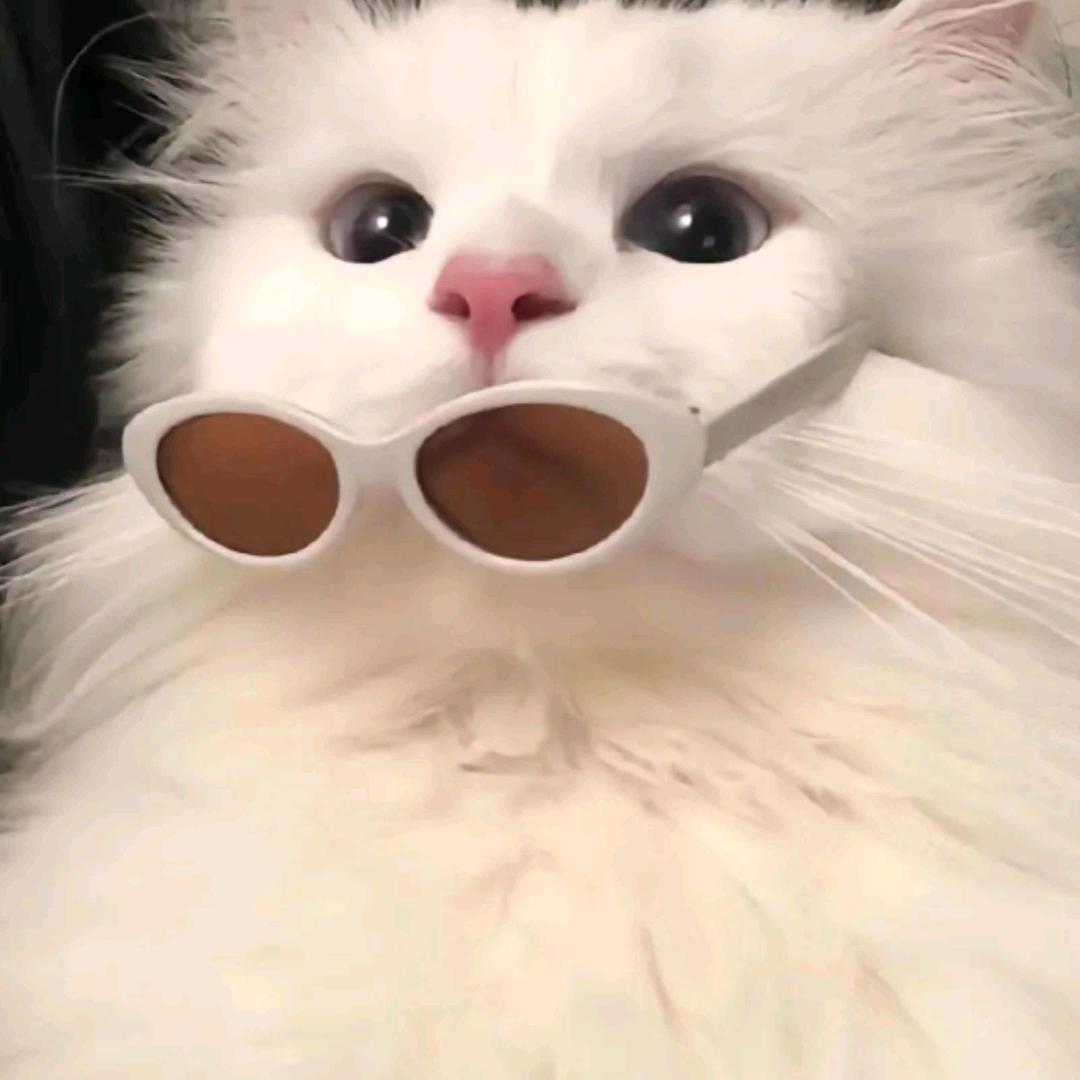 独木舟.