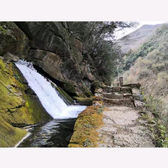 传递正能量❤️❤️❤️