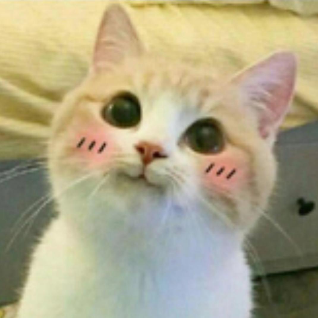 小尹锅锅🐳🐳