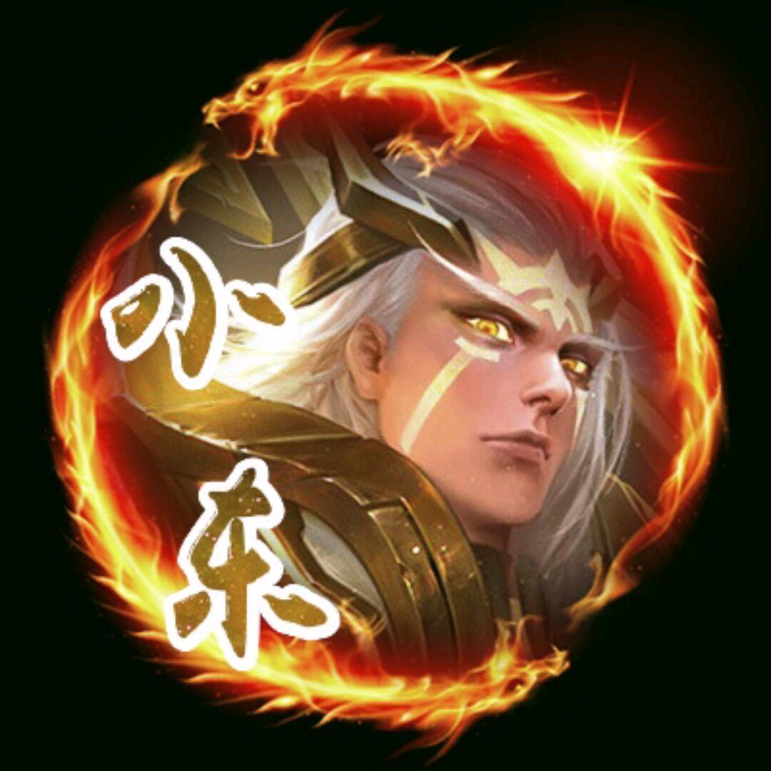 小东皮鸭