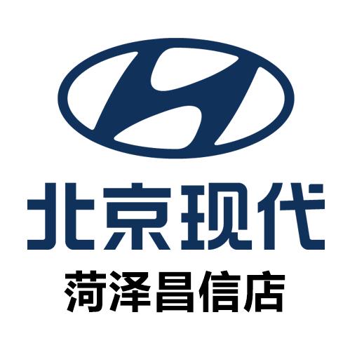 北京现代新能源菏泽昌信店