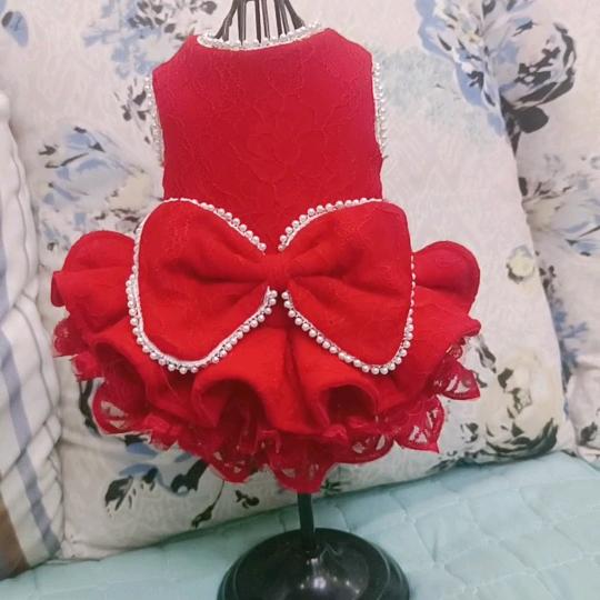 小雪宠物服装
