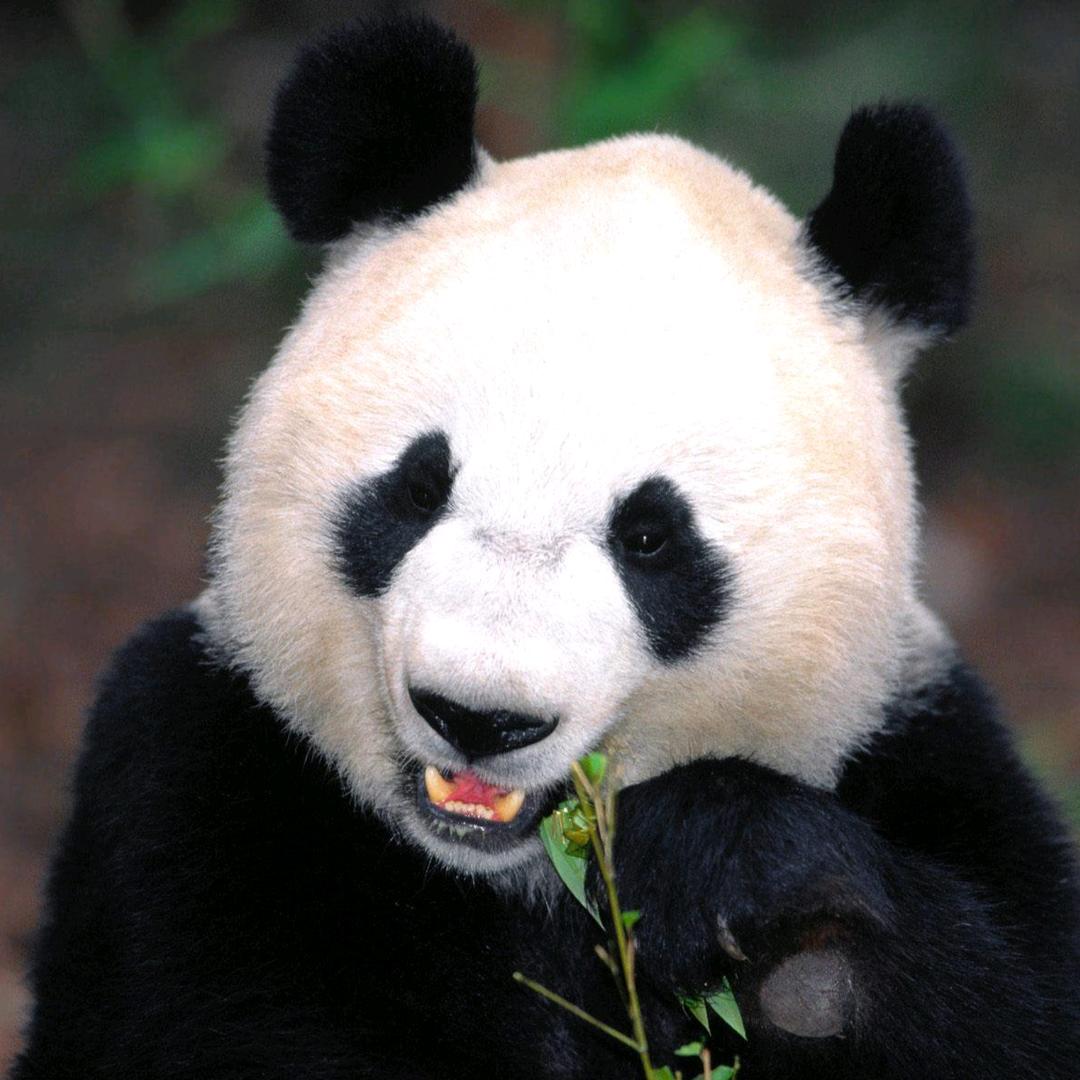 爱诗里电子商务