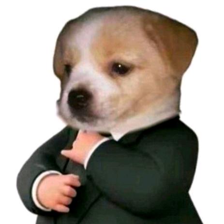 诸葛二蛋