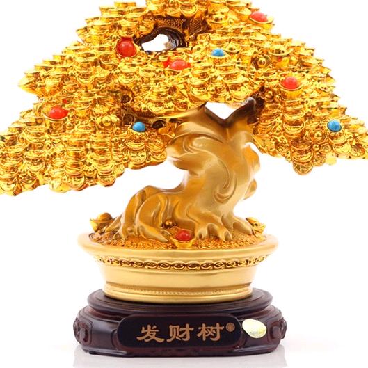 木木先生，