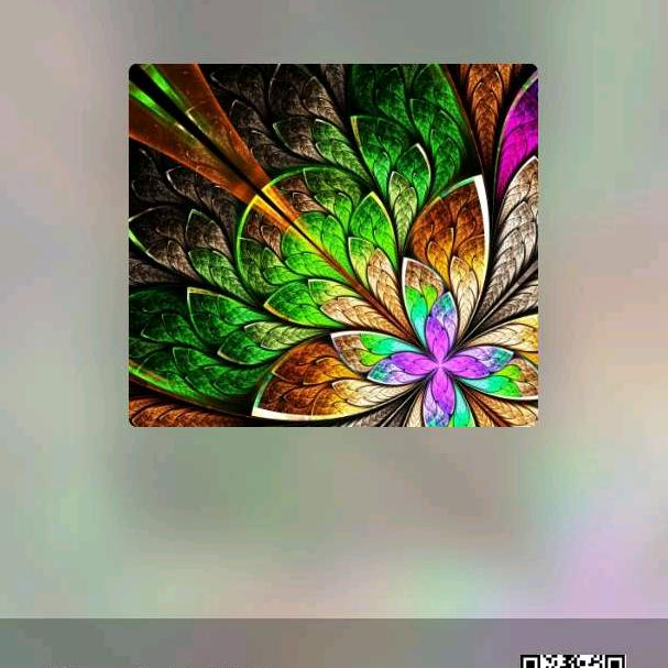 东兴👉乌鸦