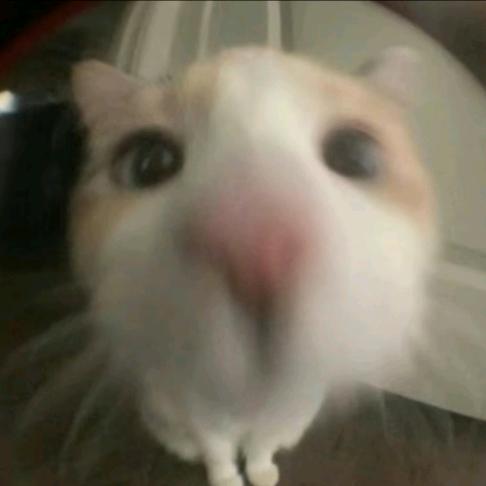 那你今天开不开心