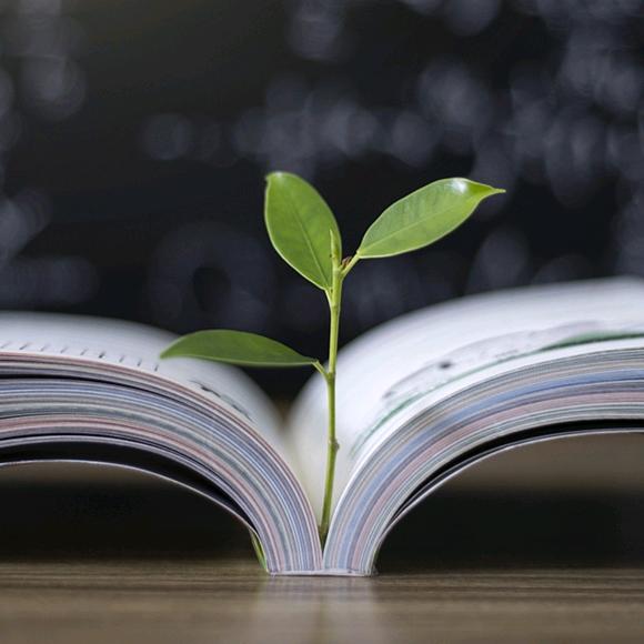 🌴Ⅱ╮不开则待🍊