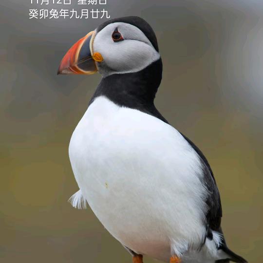 人生一切靠自己