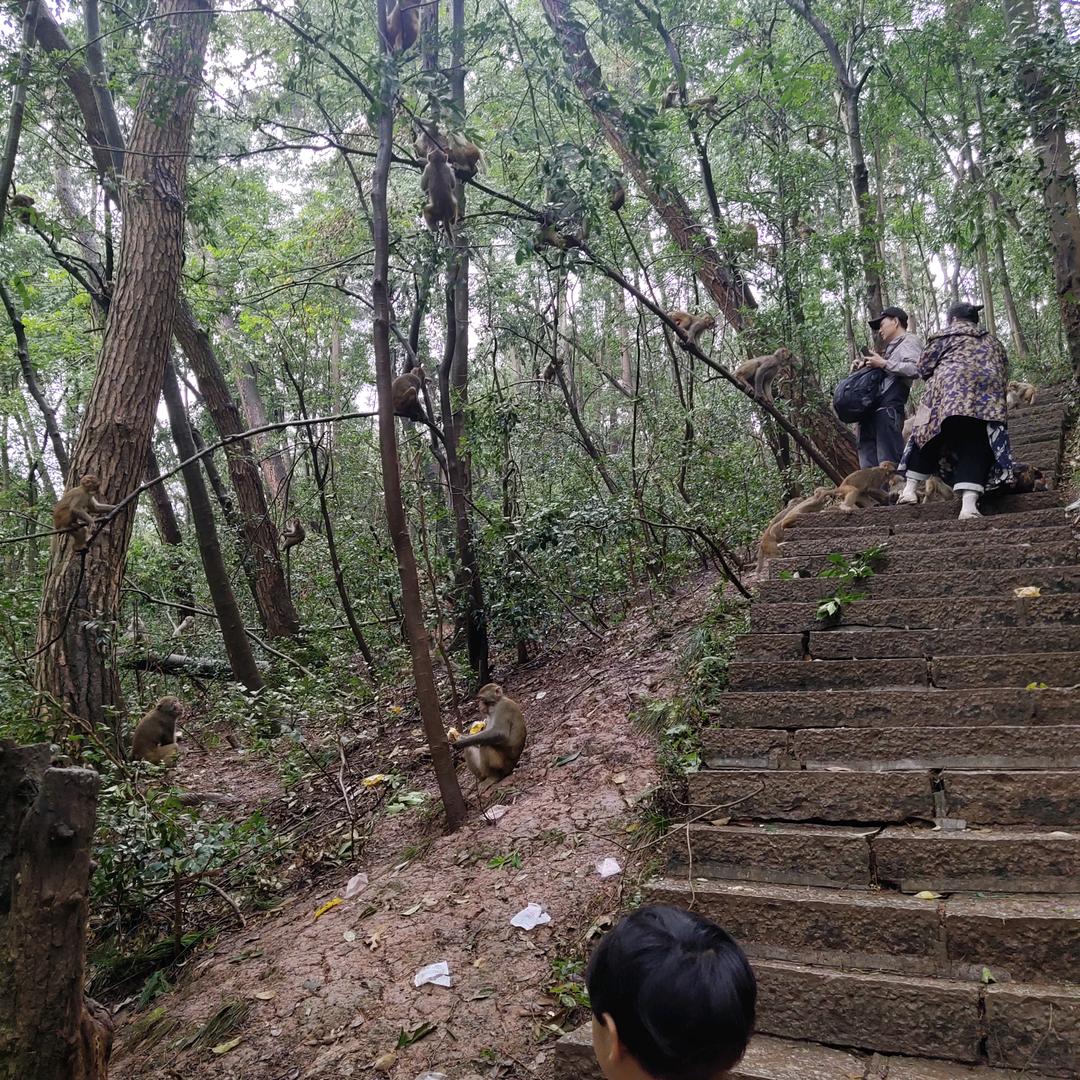 泾渭
