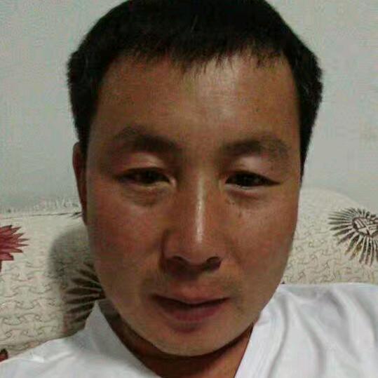 聊在今宵
