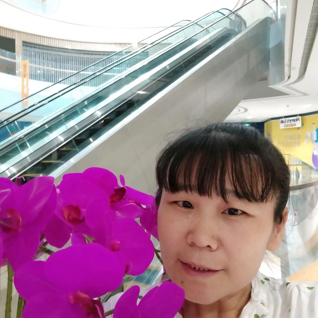 冬去春来冬去春来