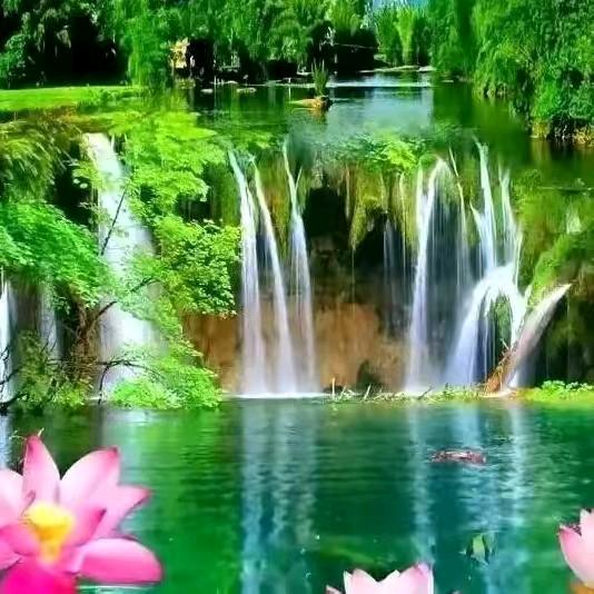 韦丫头《拒绝私聊》