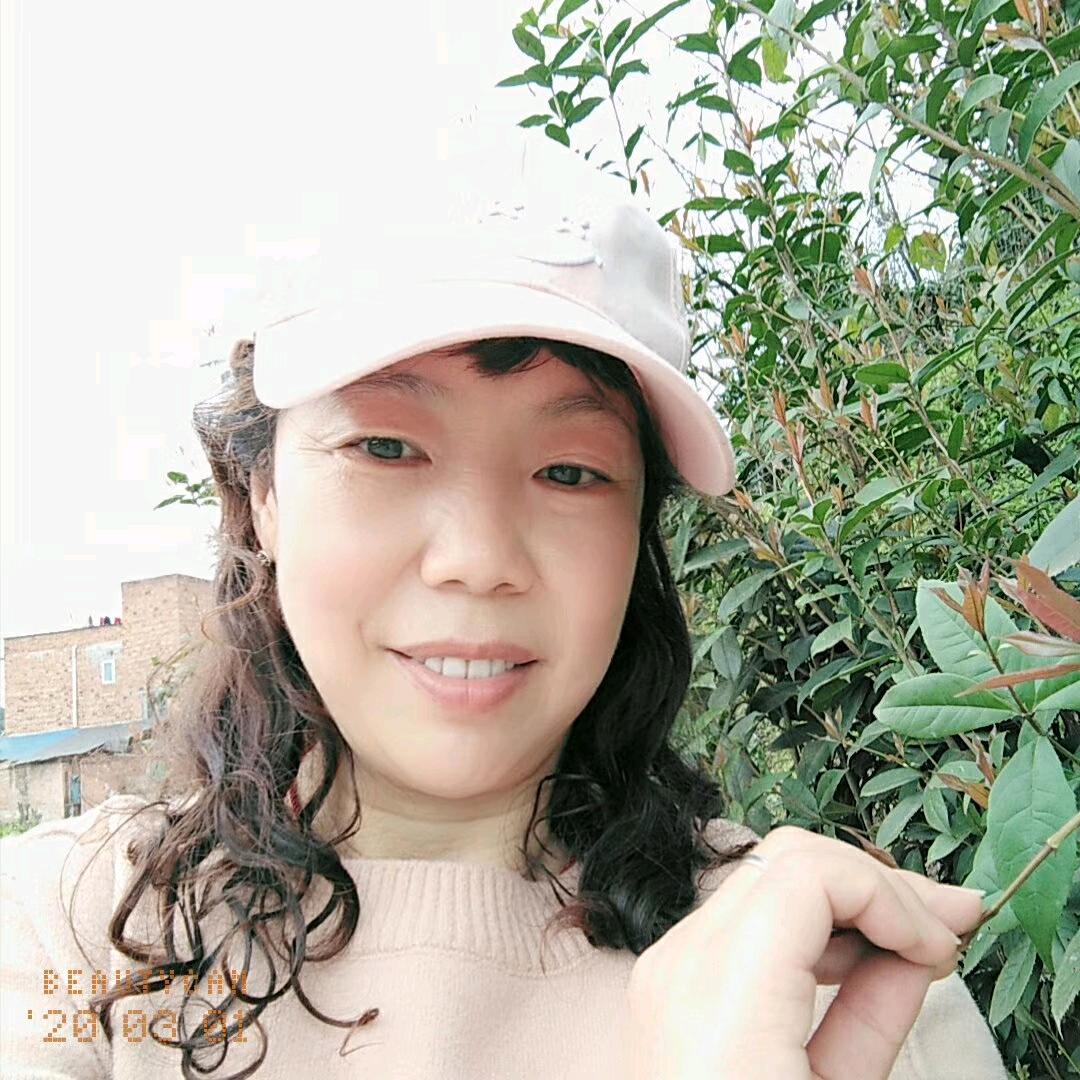 雾里的小草