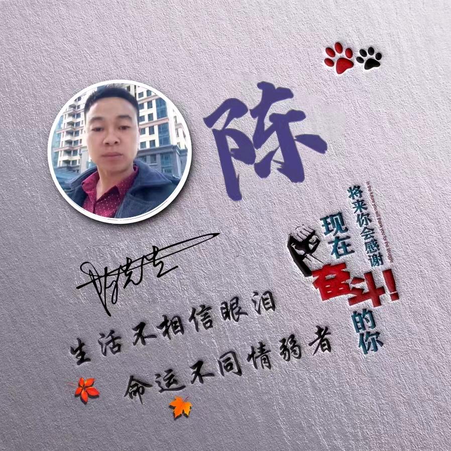 陈氐专业拆迁队