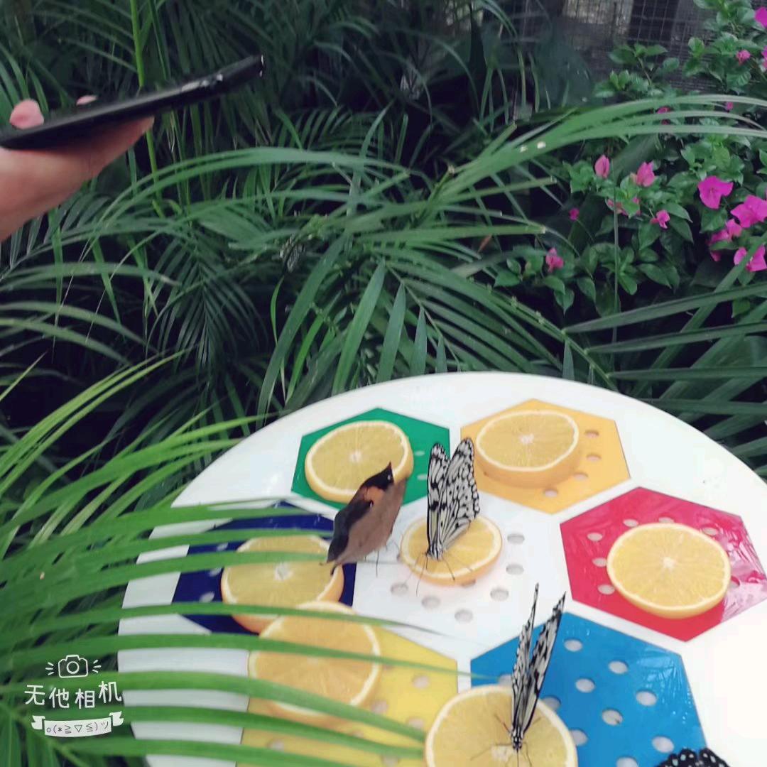 美诺美甲美睫官方号