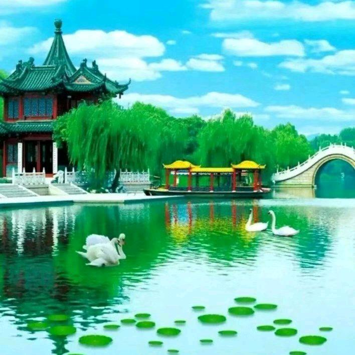 相识是缘份
