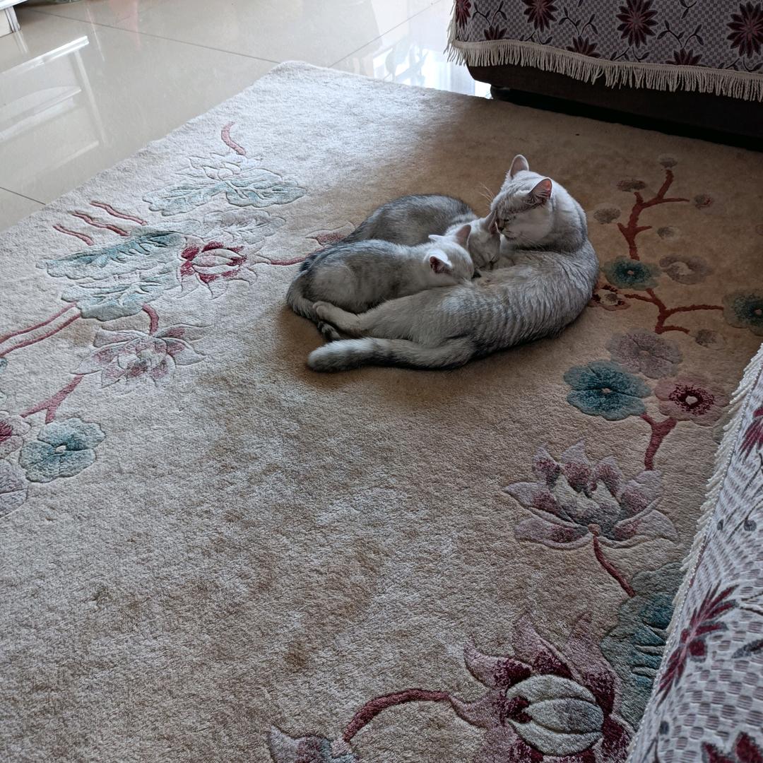 老妈的快乐生活