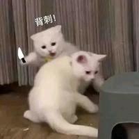 枣花月饼