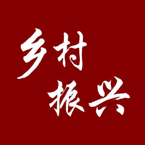 振兴乡村战略