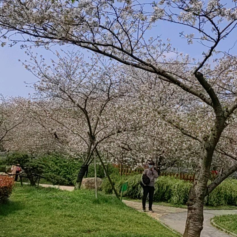 知足常乐