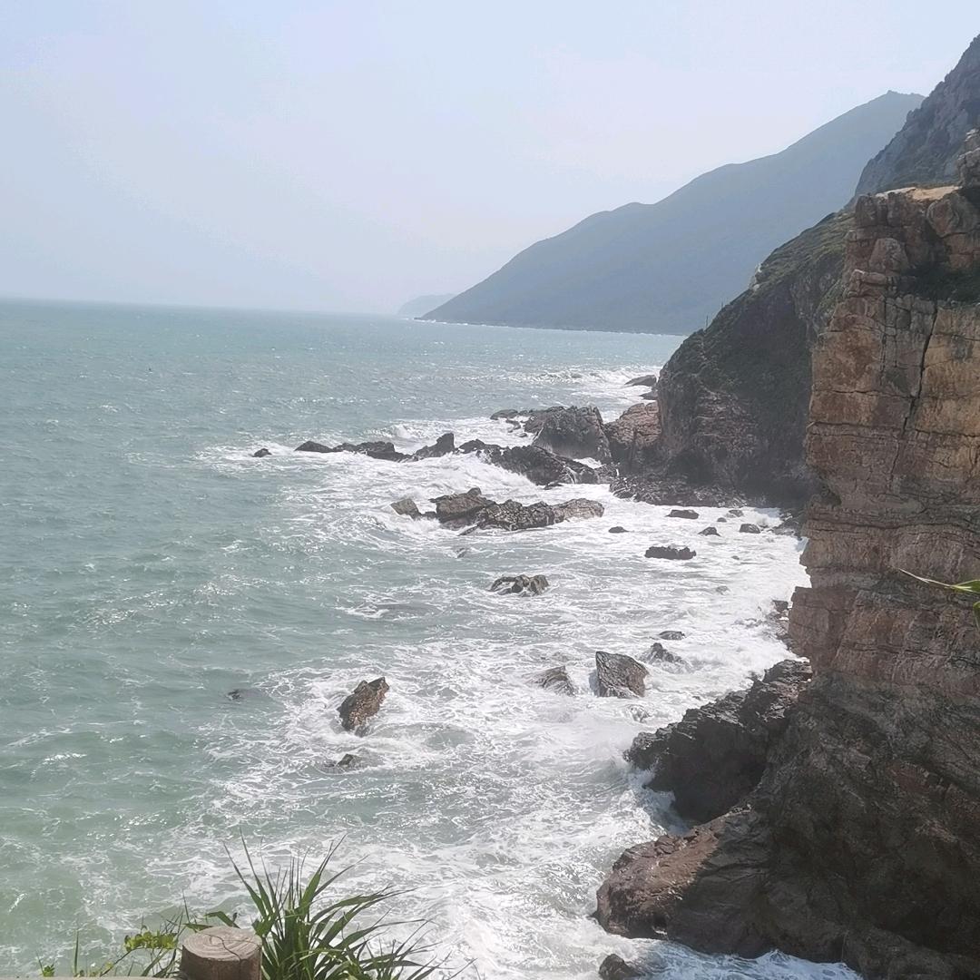 朵儿