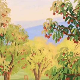 🌈包子bao(如意上岸版)