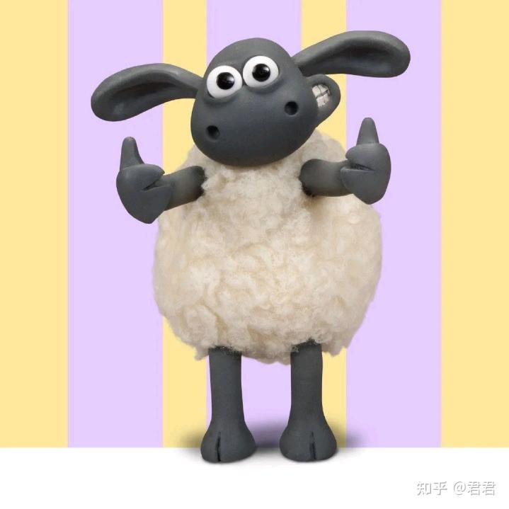 尚恩羊绒