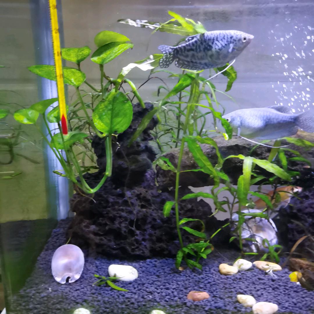 （三哥）鑫悦源汽车养护中心