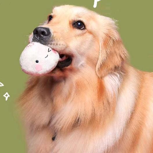 笨笨的漫生活