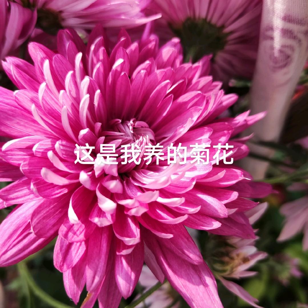 嫦娥二号