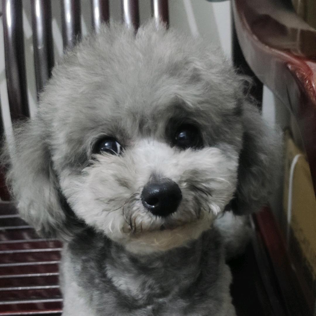 我拍两条牛仔裤