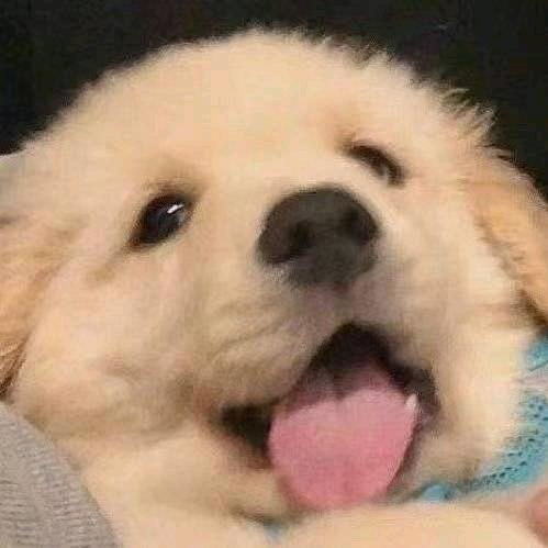 且末