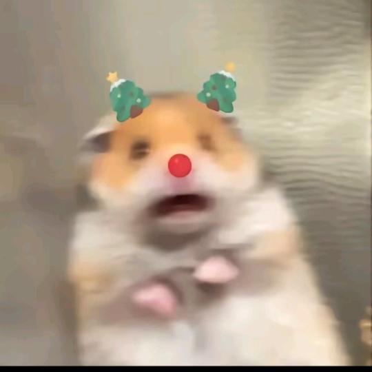 HHy