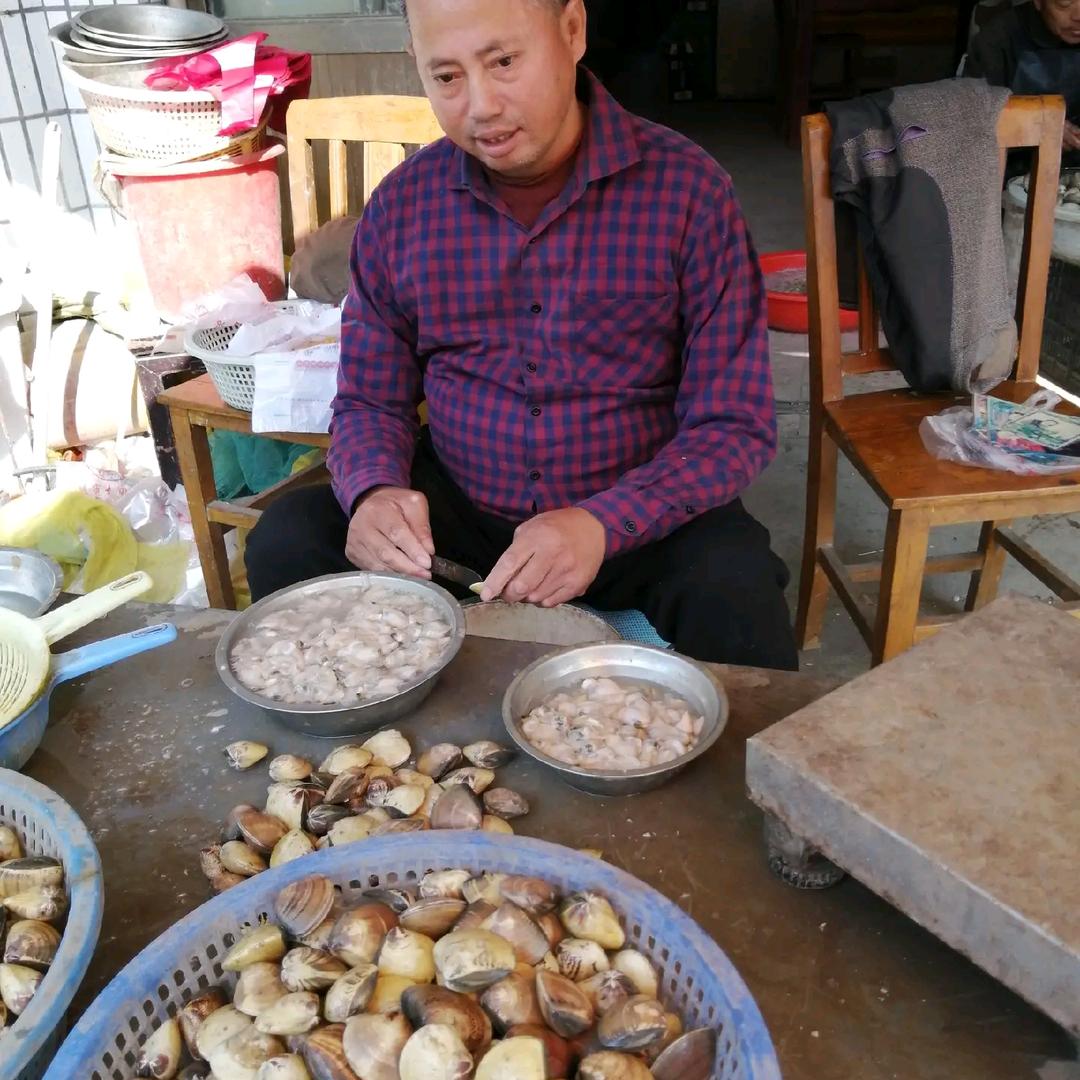 沿南卖文蛤六