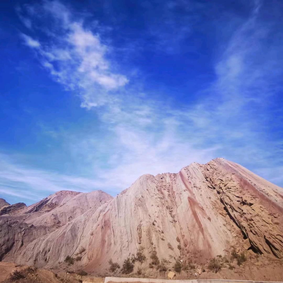 张家《大公举》