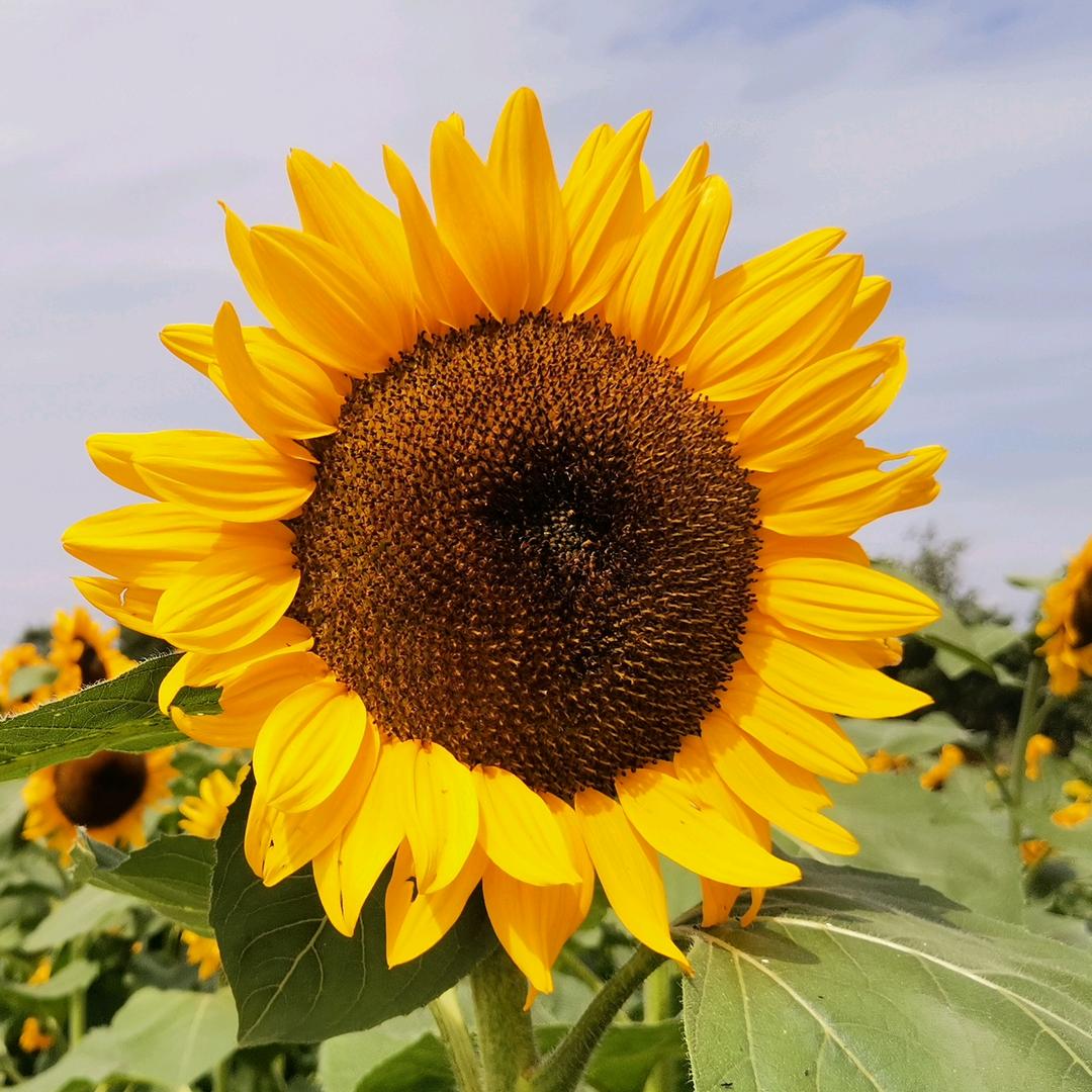 明明眼里的世界