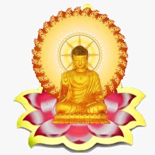 卖菜大姐