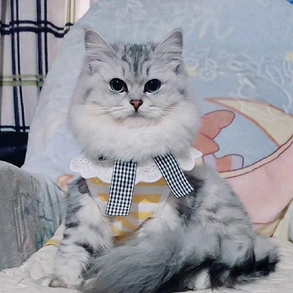 可人